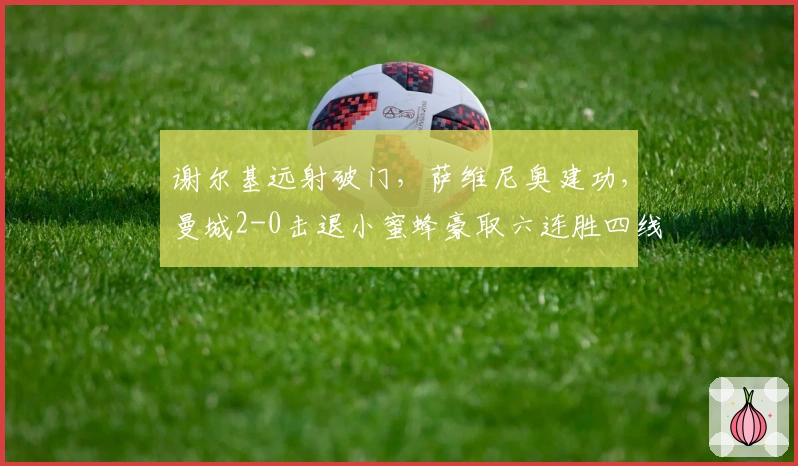谢尔基远射破门，萨维尼奥建功，曼城2-0击退小蜜蜂豪取六连胜四线冲刺