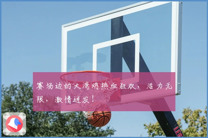 赛场边的大湾鸡热血狂欢，活力无限，激情迸发！