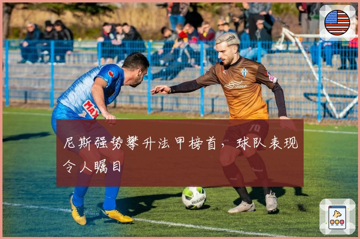 尼斯强势攀升法甲榜首，球队表现令人瞩目